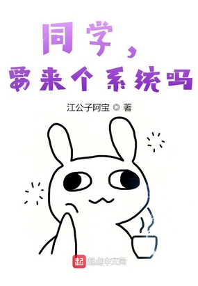 同学，要来个系统吗